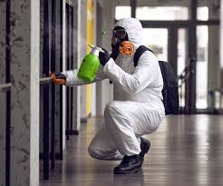 Best Mold Removal for HVAC Installations  in Bethesda, MD